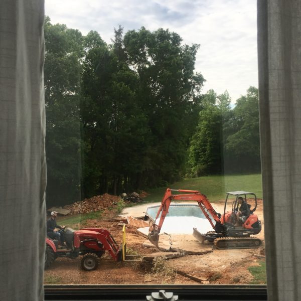 window