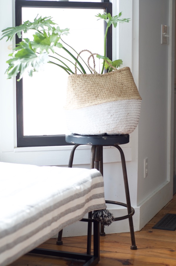 stool